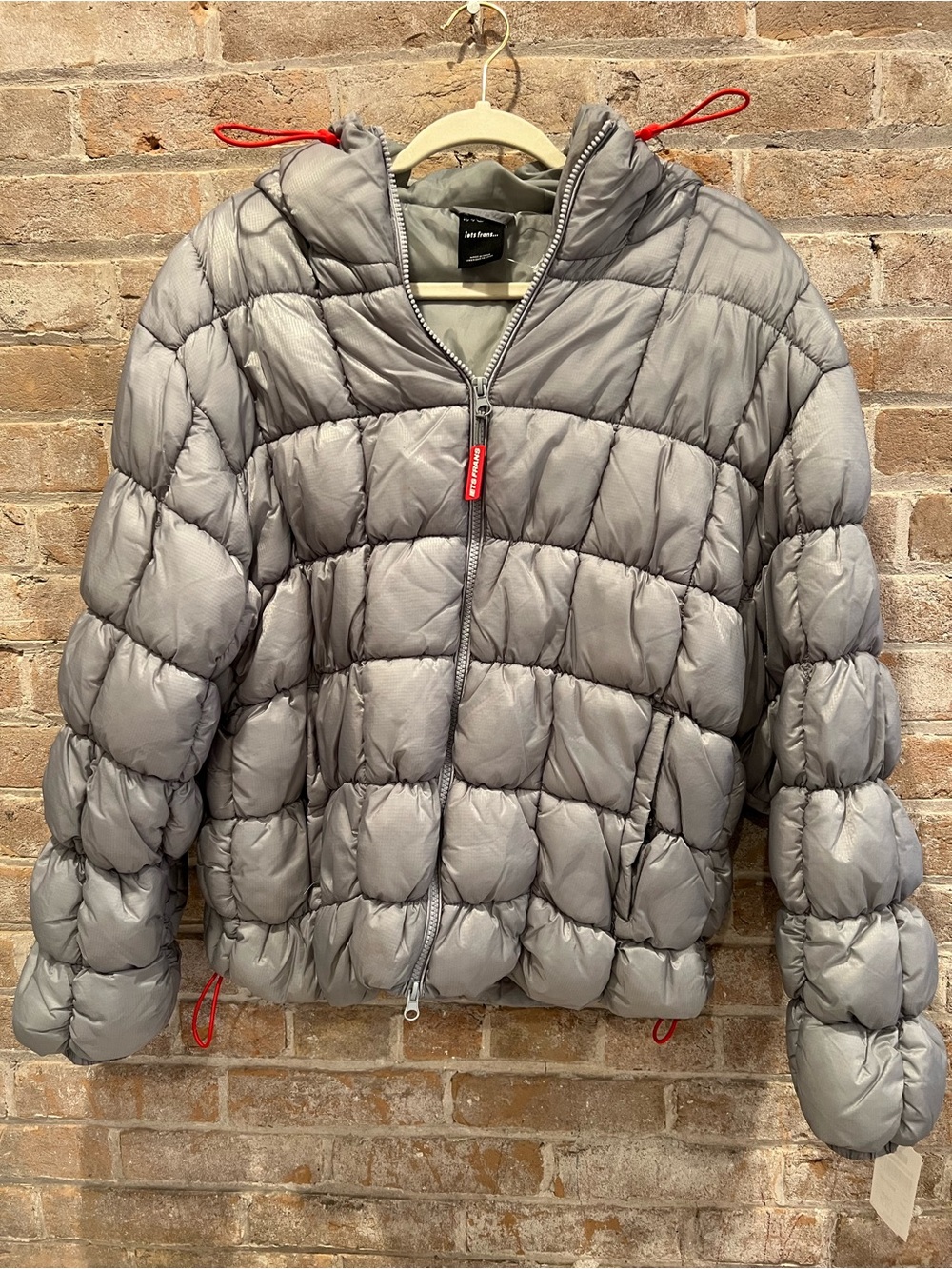 Nordstrom Silver Quilted Puffer Jacket with Red Accents